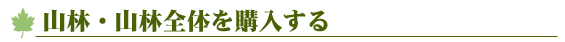 飛騨・高山 山林、山林全体を購入する
